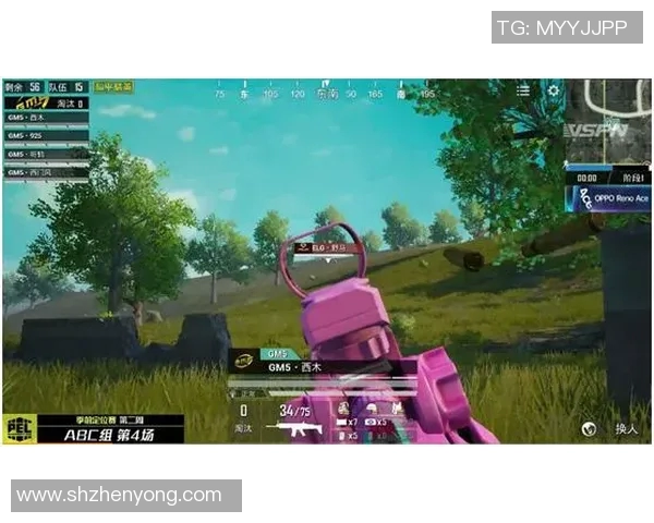 和平精英赛事中TES配合引发热议玩家对战术选择的不同看法
